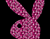 Pink Rabbit 01