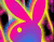 กระต่ายสีชมพู 02