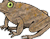 צפרדע זעירה