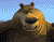 דוב גדול וחמוד