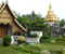 Wat Phrasing in Chiang Mai
